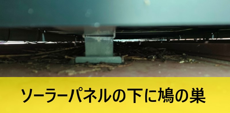 ソーラーパネルの下に鳩の巣　熊本　無料点検　清掃